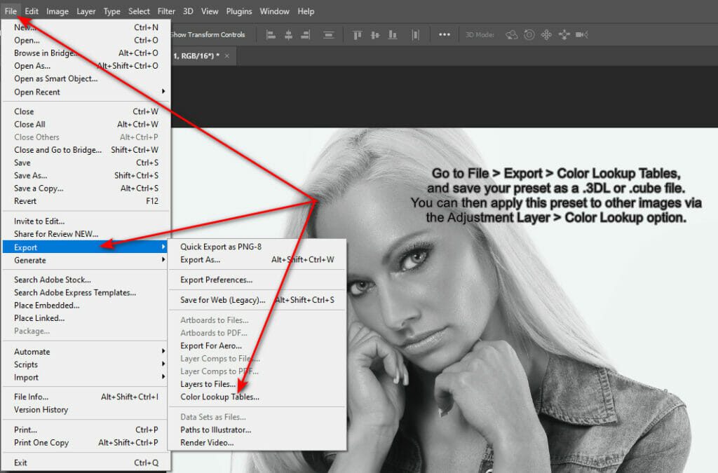 A screenshot showing the process of saving a custom preset as a Color Lookup Table (LUT) in Photoshop 24.6.